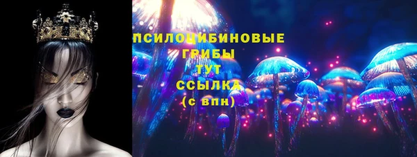 метадон Богданович