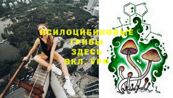 MDMA Premium VHQ Богородицк