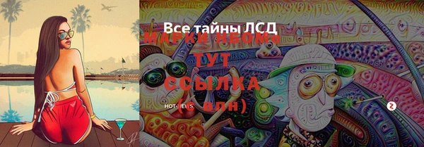 метадон Богданович