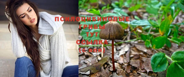MDMA Premium VHQ Богородицк