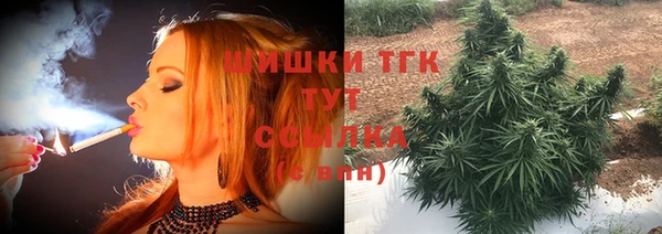 метадон Богданович