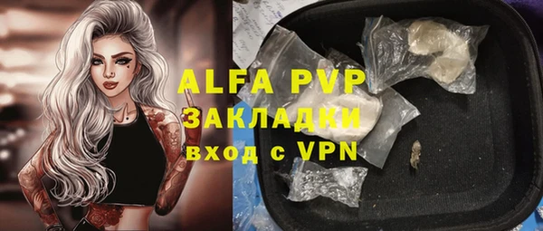 метадон Богданович